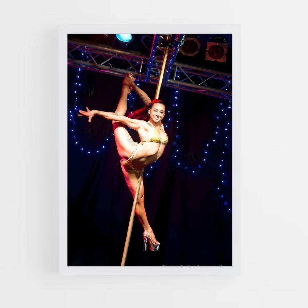 Poster Pole Dance Fever – affiche Danse (vue 3)